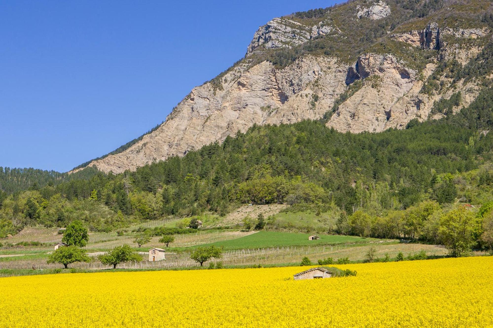 Châtillon-en-Diois Le Dauphine酒店 外观 照片